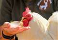 Bucklebury Farm Park announces exciting upcoming events