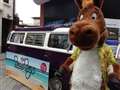 Beach Boys heading to Newbury races tomorrow (Sat) 