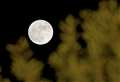 Harvest Moon: Final supermoon of 2023 to rise over West Berkshire this week
