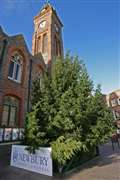 Christmas tree keeps its Market Place location