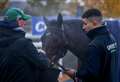 Richard Johnson: Cheltenham Festival Champion Hurdle is Constitution Hill's race to lose
