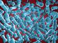 Salmonella outbreak in Thames Valley affects seven