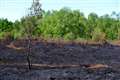 BBOWT blasts 'disgraceful' behaviour at West Berkshire commons and nature reserves 