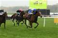Norwegian trainer Rune Haugen relishing Newbury test for stable star Quarterback this Saturday