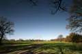 Further delays to controversial Sandleford application 
