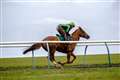 Stable Talk: Moore success is on the cards for Stan