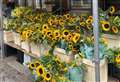 My Newbury: Flowers at the market