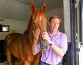 Stable Talk: Hughes is putting experience to good use