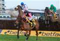 Williams: 'He is a small horse, but he is such an intelligent jumper'