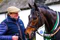 Nicky Henderson makes changes ahead of Newbury's Betfair Hurdle meeting