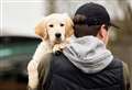 'Berkshire among most dangerous places to be a dog owner in UK'