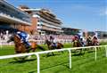 Newbury’s Summer Evening Series set for exciting conclusion