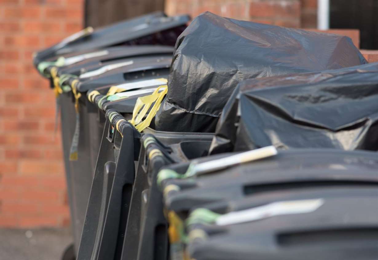 Petition launched as council approves plan to collect bins every 3 weeks