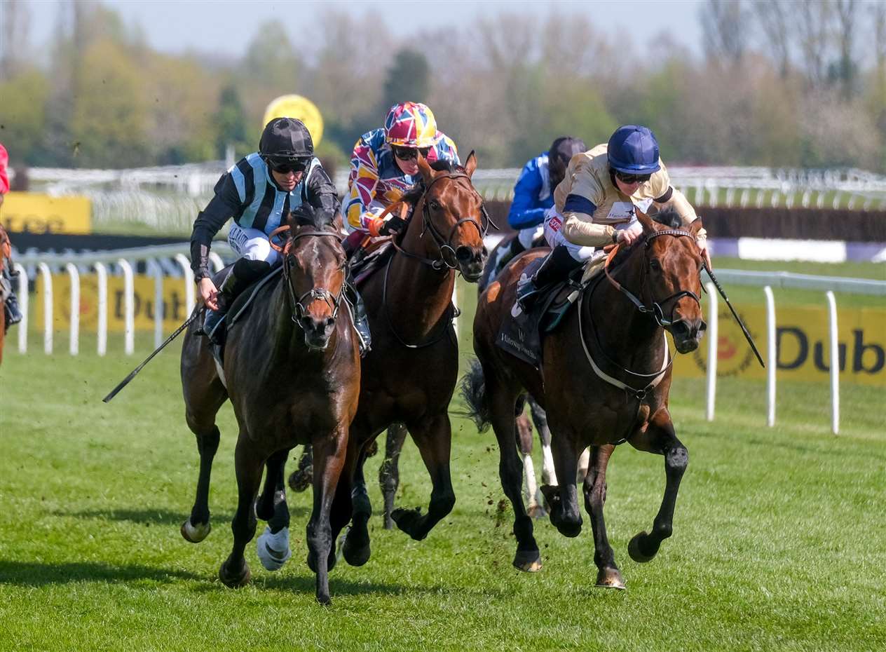 Watership Down Stud Too Darn Hot Chindit - P J Dobbs - Richard Hannon Picture by Phil Cannings (46296122)
