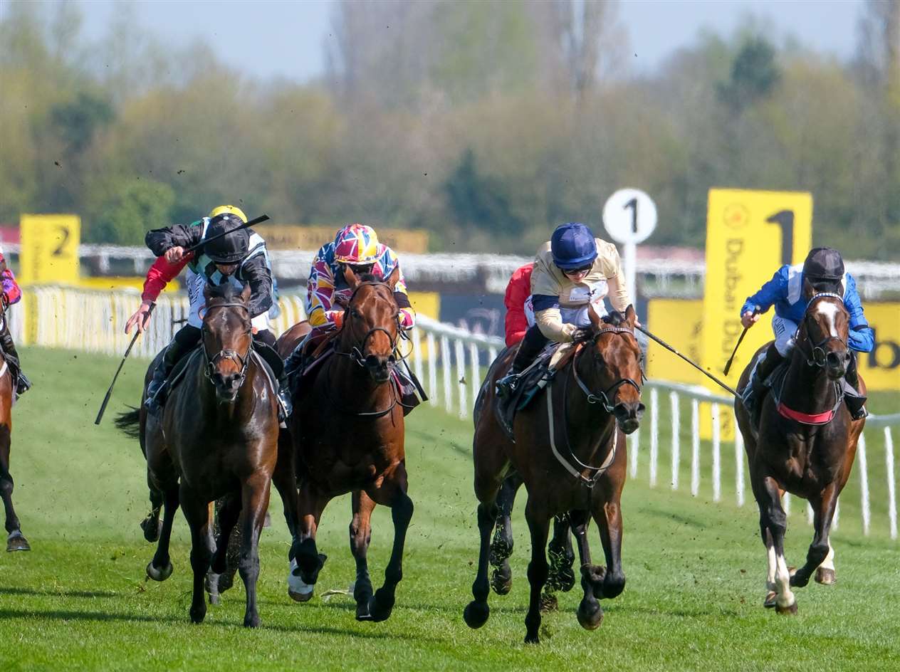 Watership Down Stud Too Darn Hot - Chindit - P J Dobbs - Richard Hannon Picture by Phil Cannings (46296114)