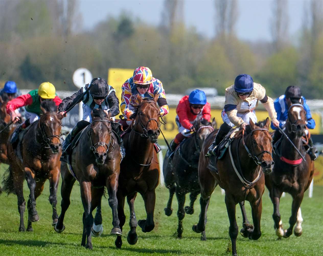 Watership Down Stud Too Darn Hot Chindit - P J Dobbs - Richard Hannon Picture by Phil Cannings (46296120)