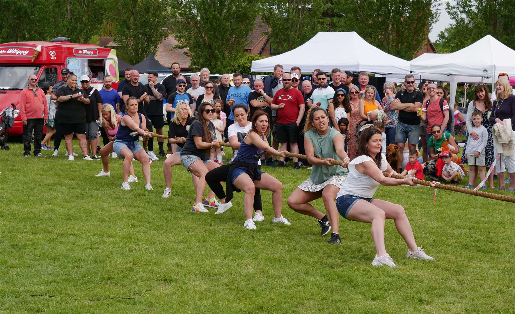 Tug of war. Credit: Robert Elliott