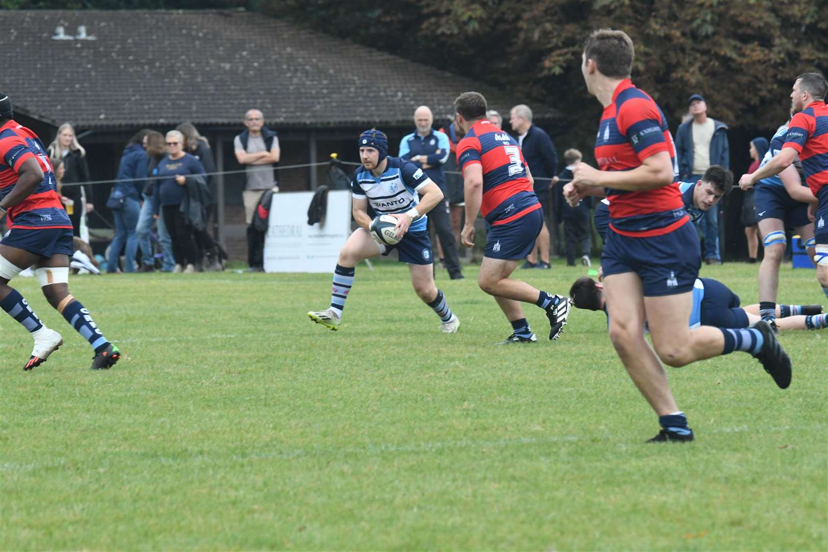 Newbury Blues' scrum half Toby Thorne - Photo: Peter Branch