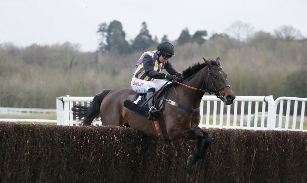 O'Faolains Boy is a live contender for the 2016 Hennessy Gold Cup
