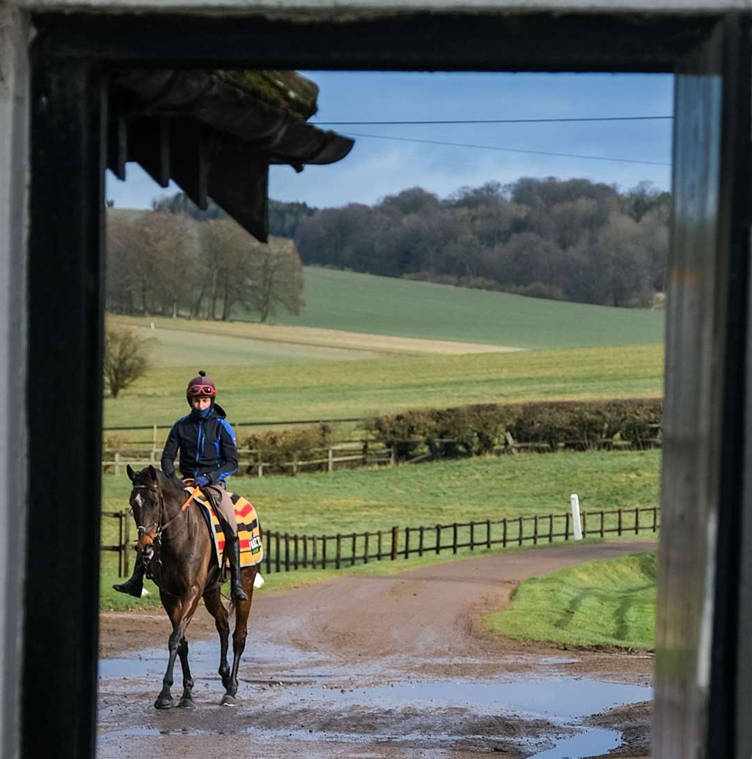 Shishkin and Jaydon Lee on the way back from the Seven Barrows gallops