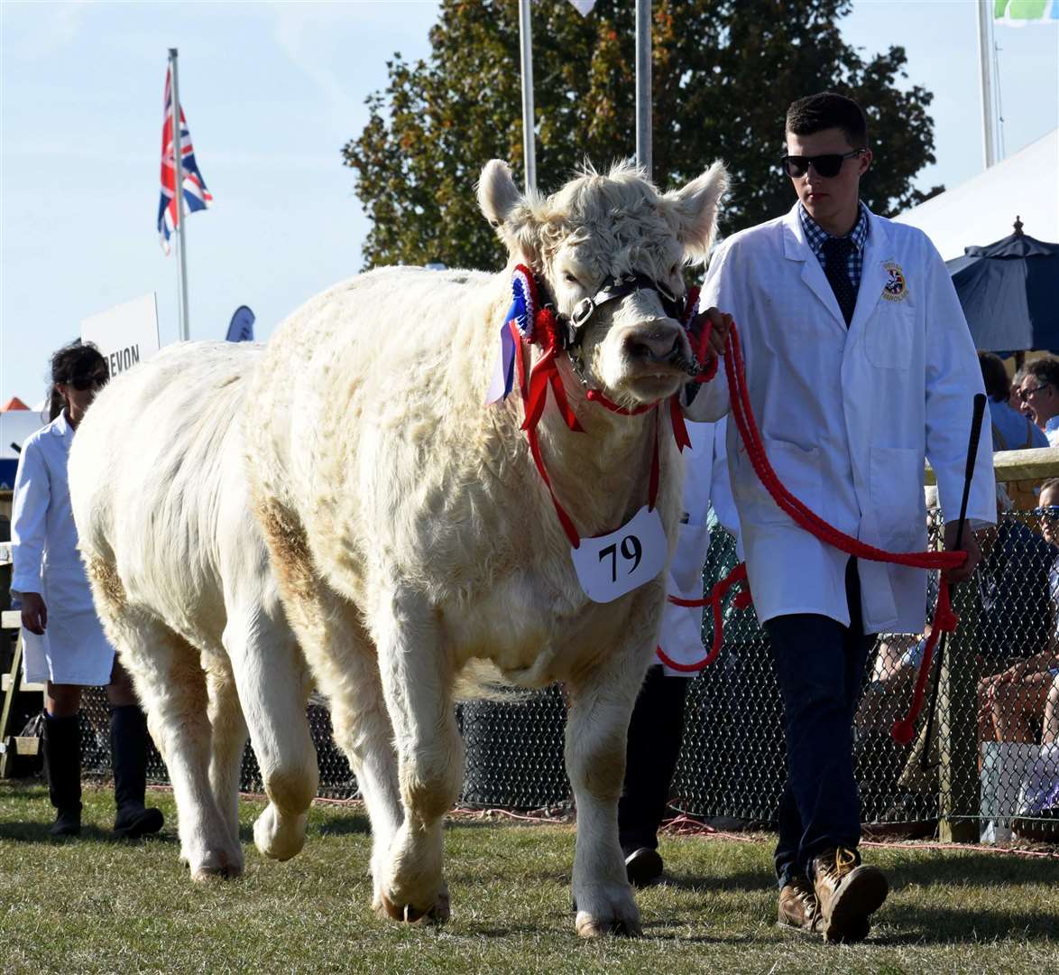The animal parade is scheduled at Newbury Show on both days this weekend