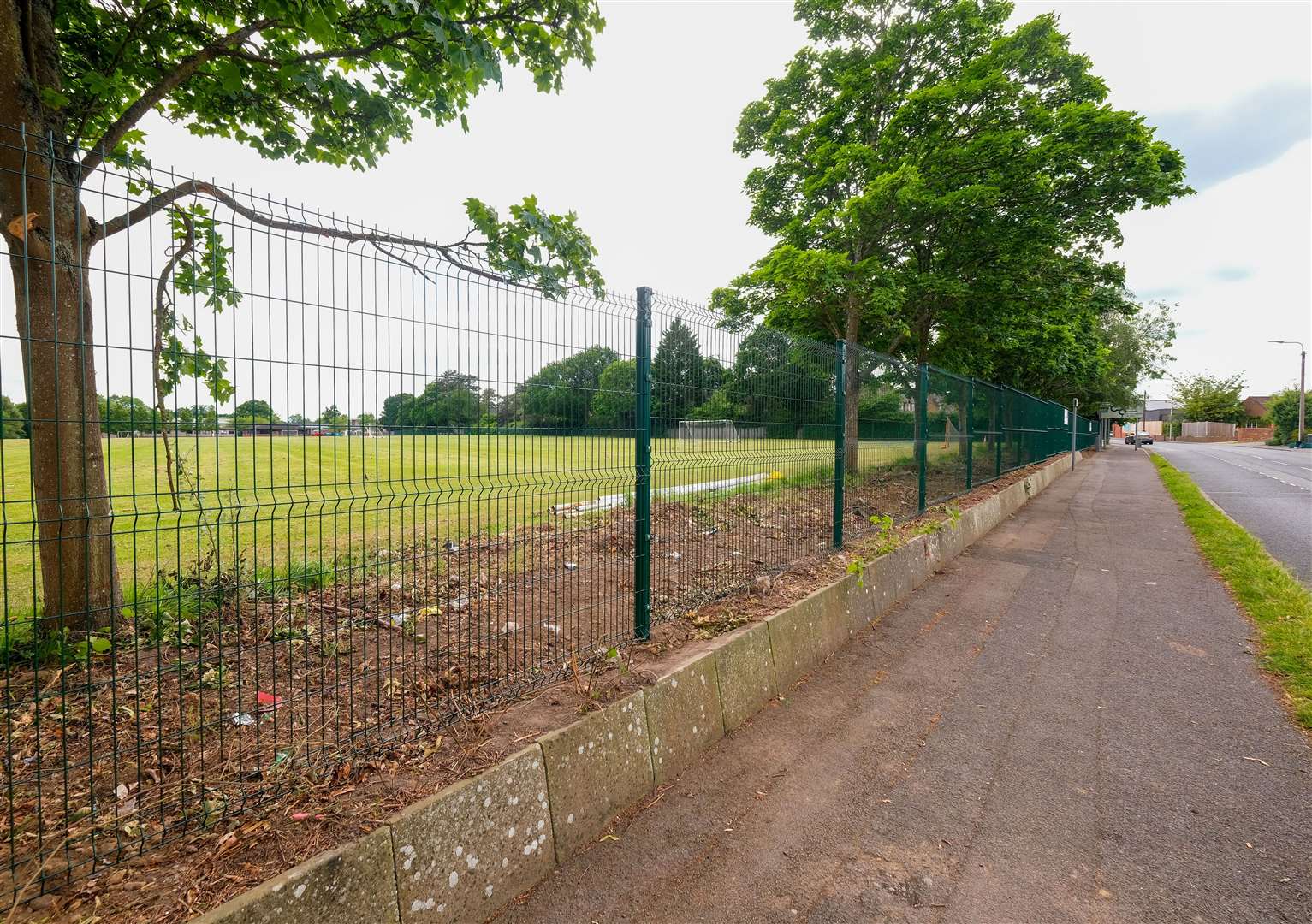 It is believed that the hedgerow contained many nesting birds, and the destruction of birds and their nests is an illegal act