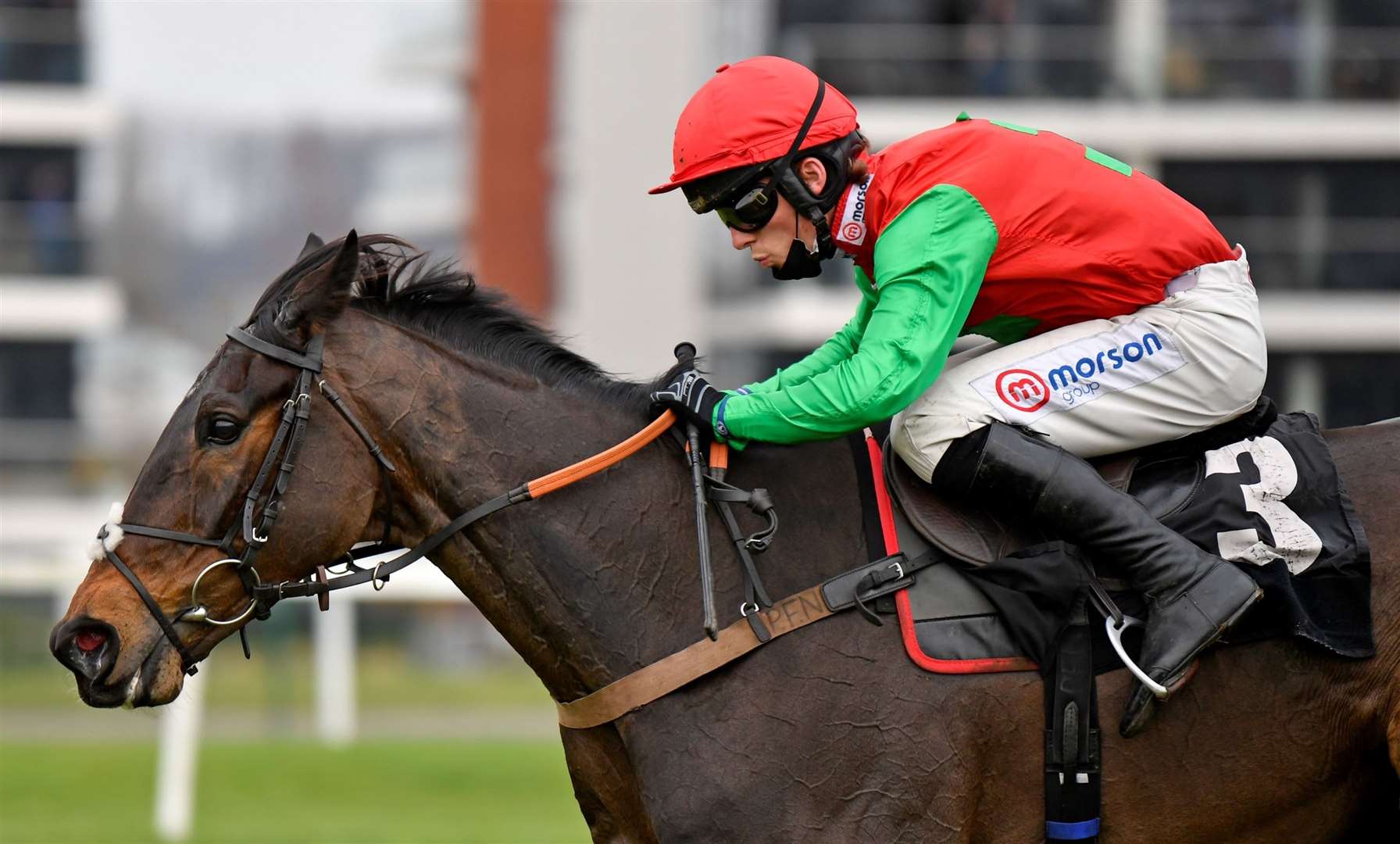 Enrilo is currently favourite for the Ladbrokes Trophy later this month