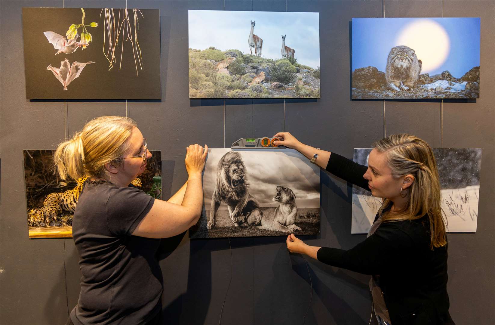 Hanging the exhibition at The Base