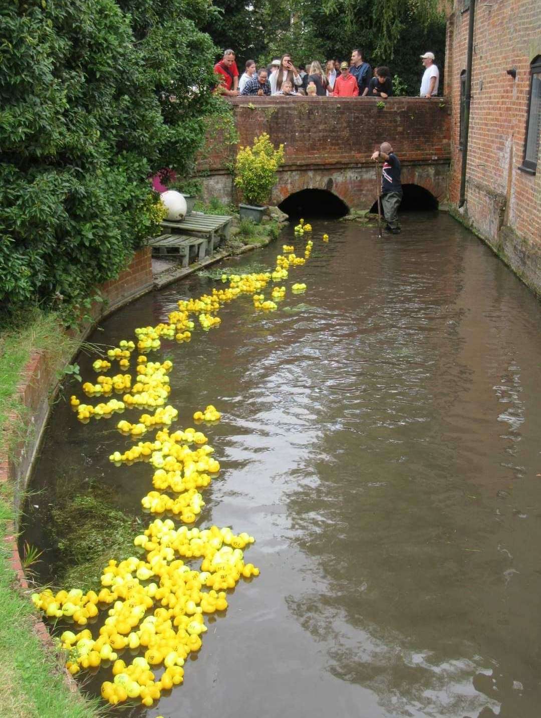 Nearly 300 rubber ducks took part in this year's race