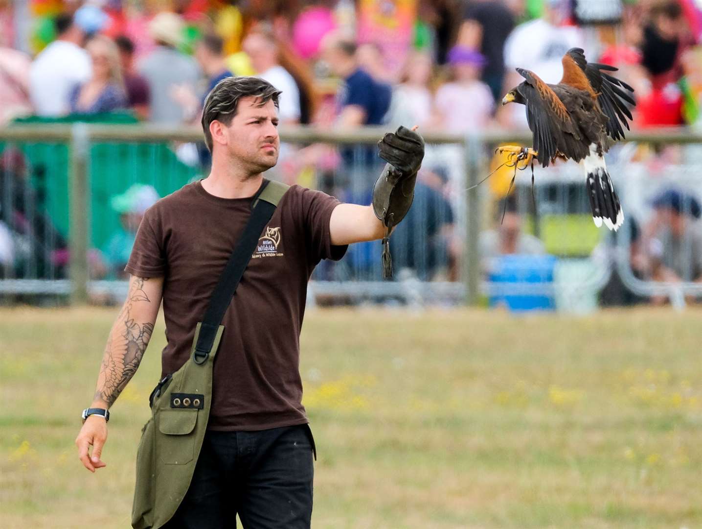 Millets Falconry
