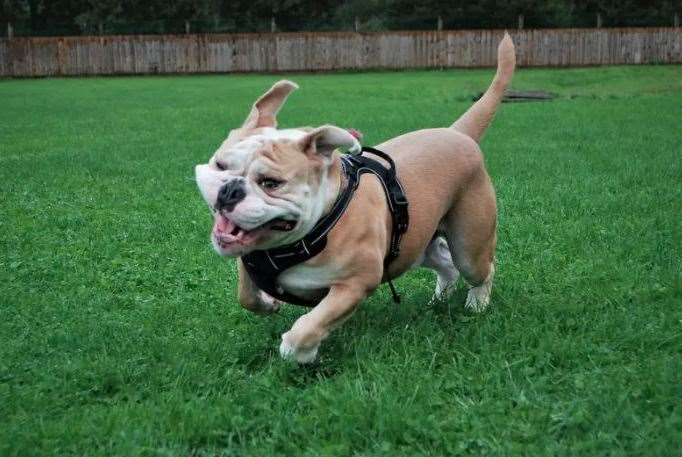 Winston
