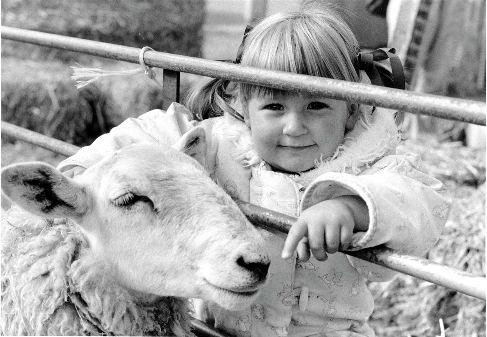 Little one poses with a sheep
