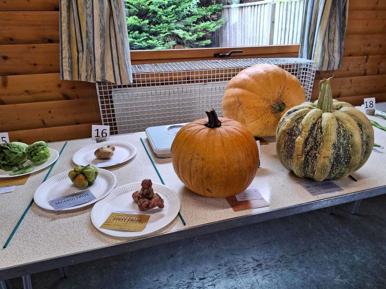 Contributions to the Hatch Produce Show