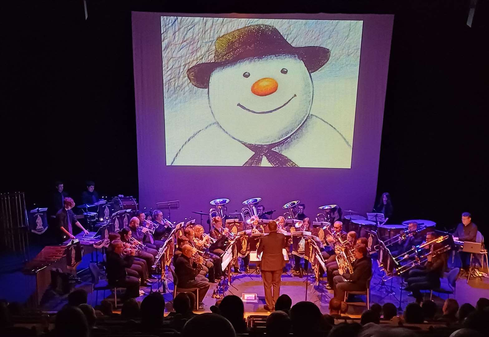 Wantage Band The Snowman at Arlington Arts Picture: Fiona Bennett
