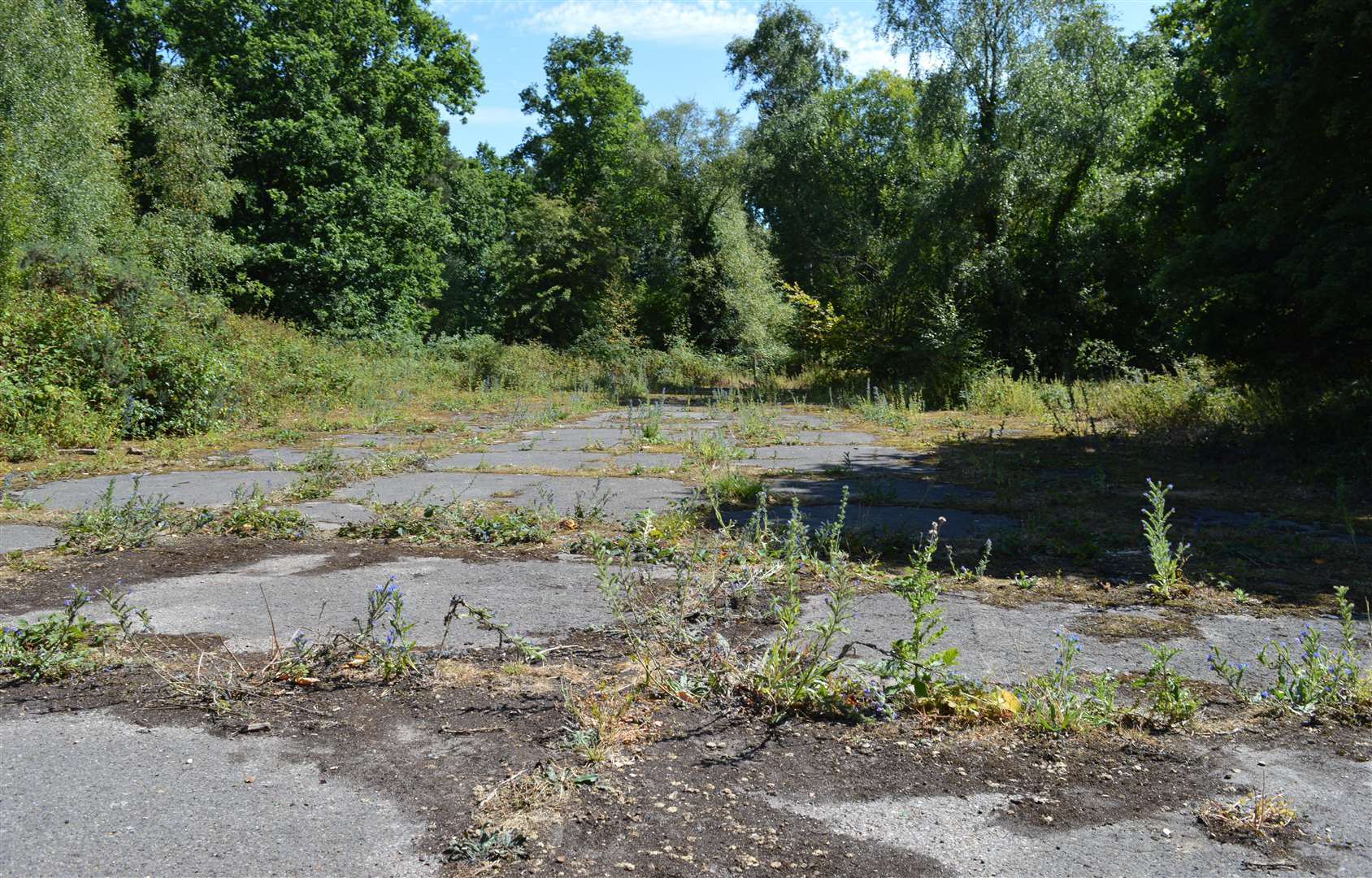 Leftover hardstanding, echoing the area's military past