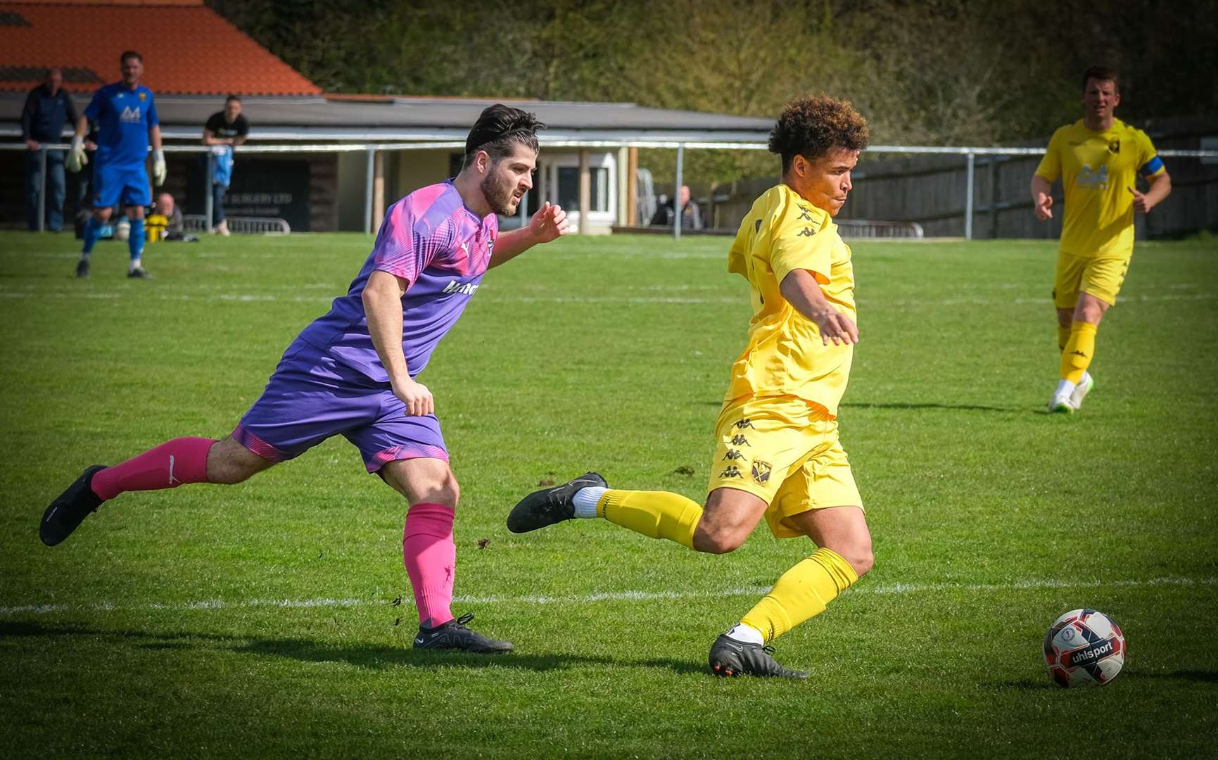 Pettet on the ball