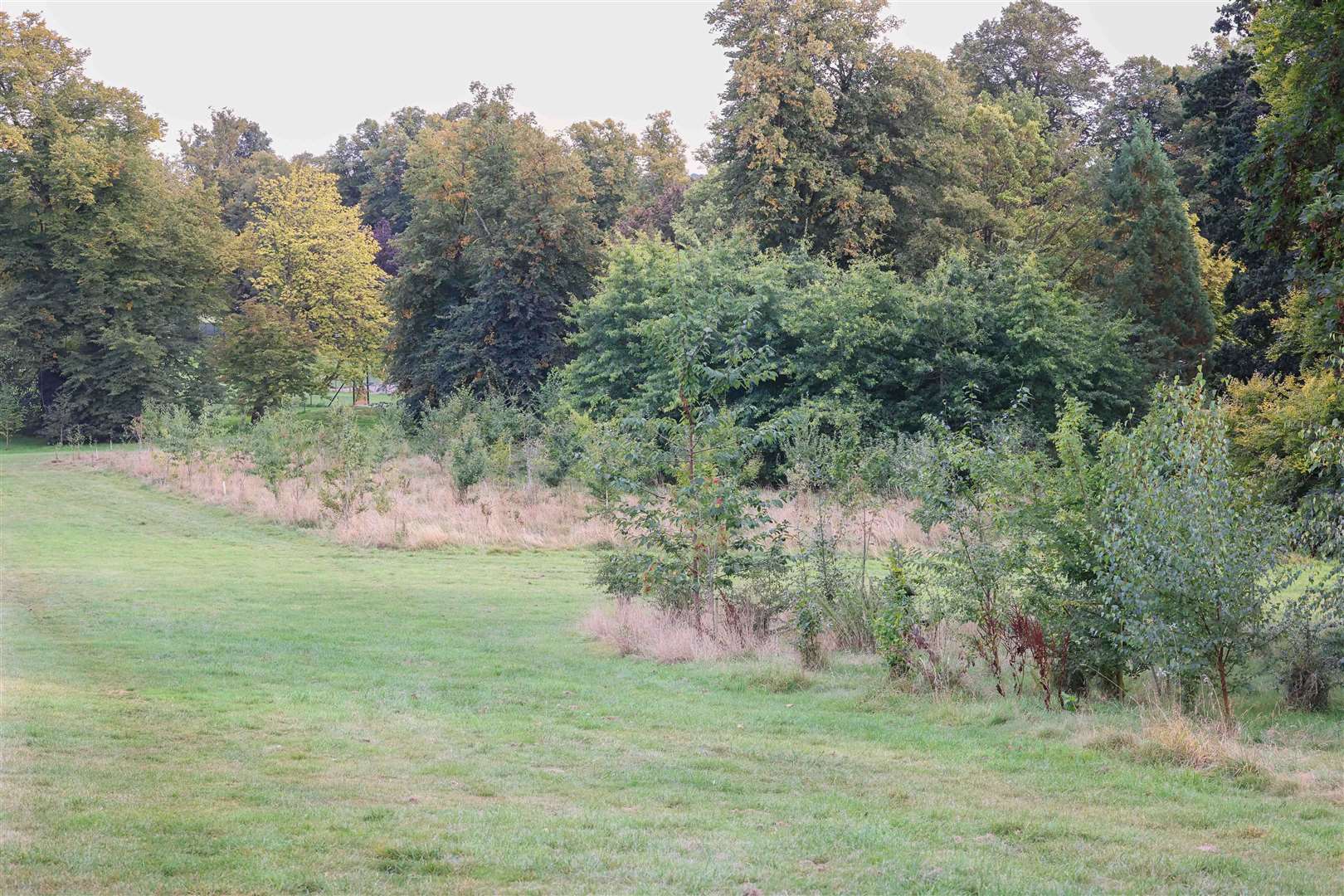 Goldwell Park