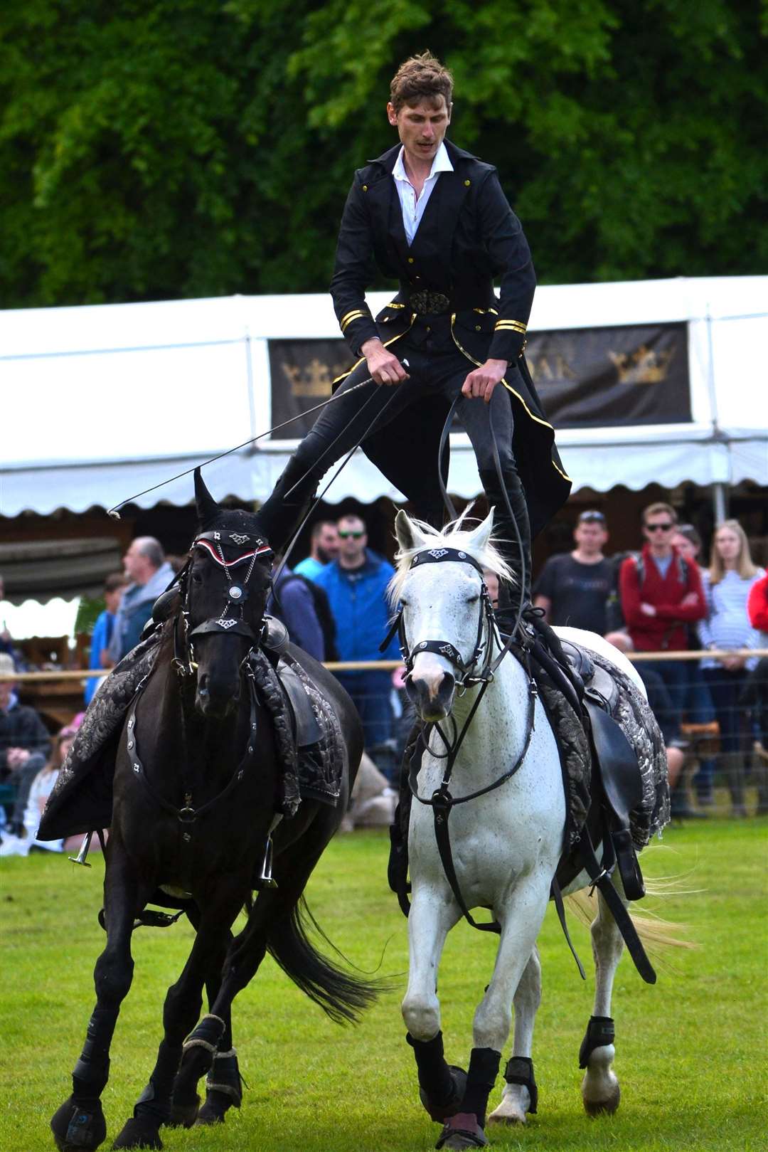 Spectacle 0f Equitation