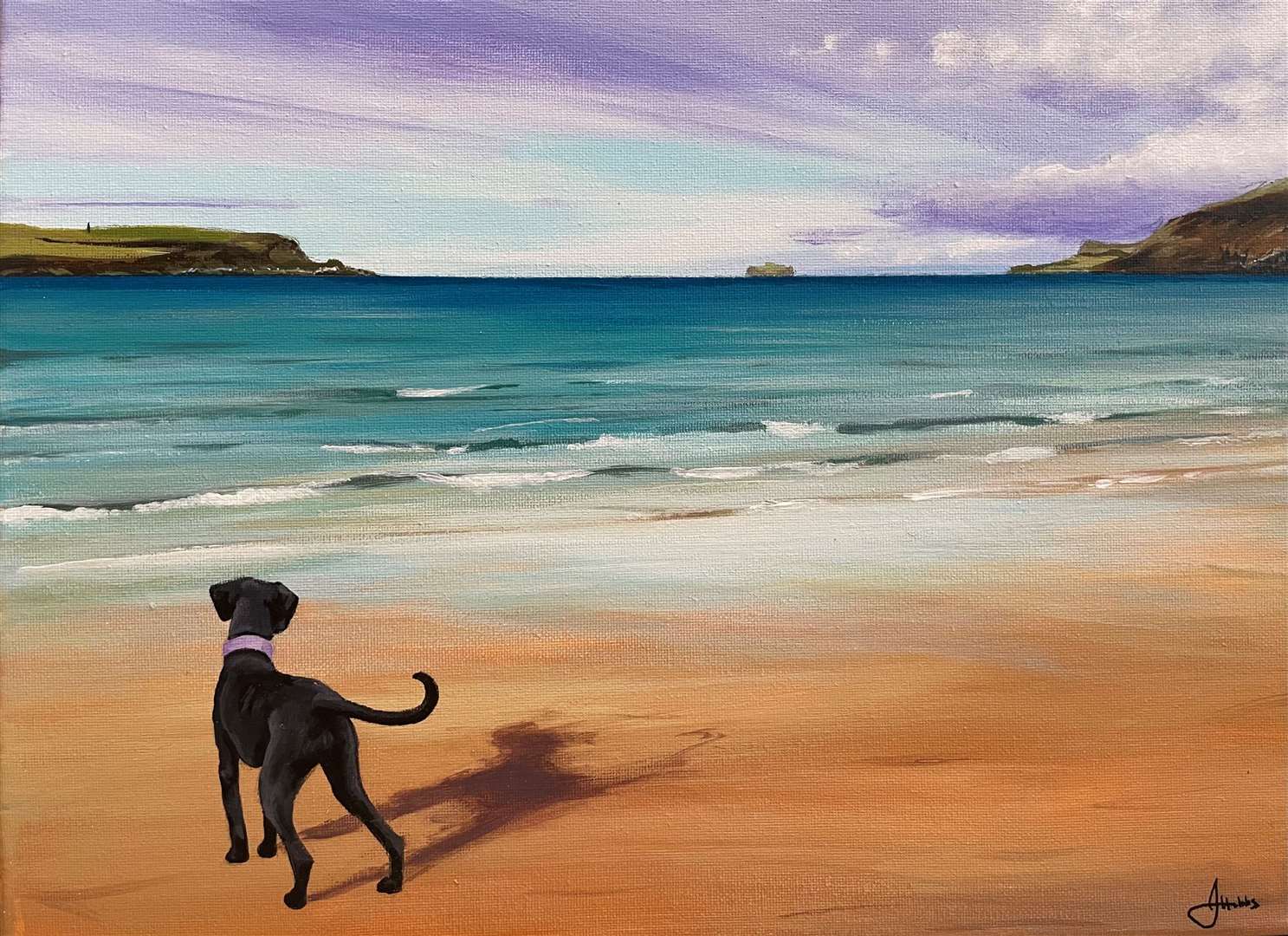 Katy Morris & Jill Hobbs are showing at Sunrise studio