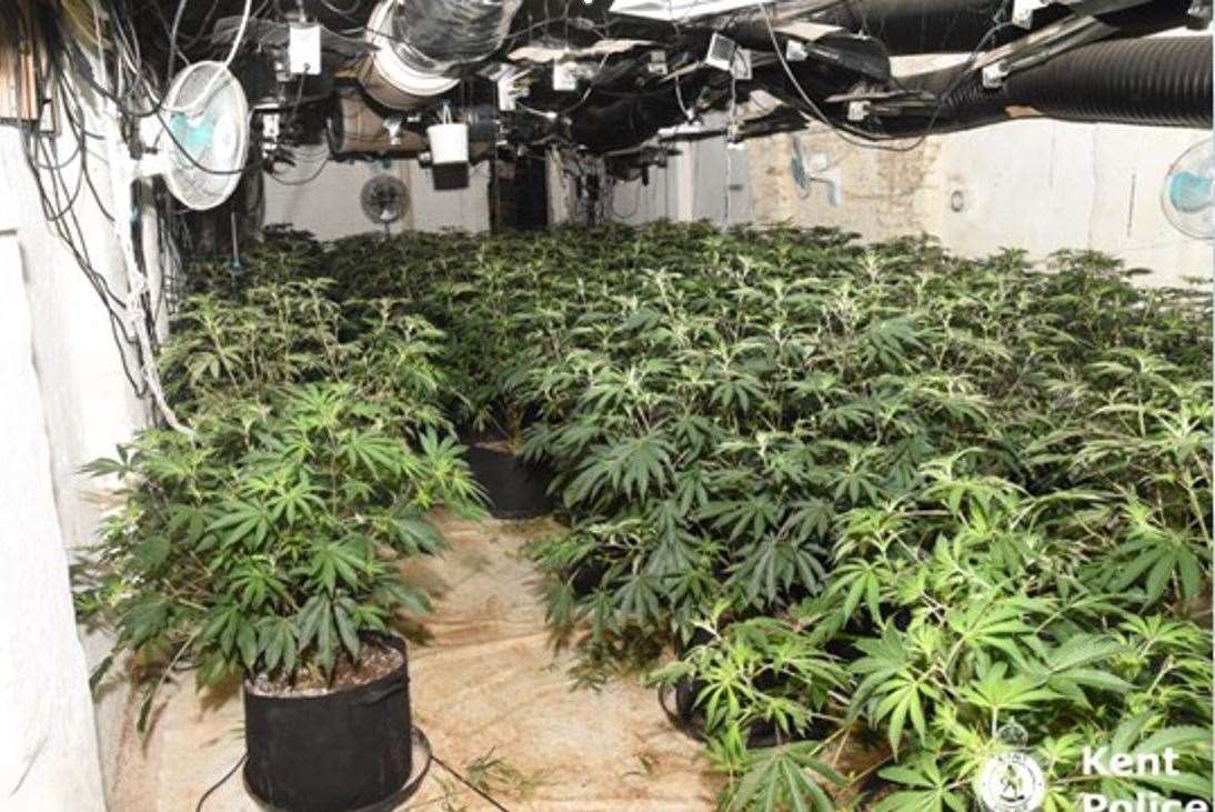 Is cannabis a nuisance?