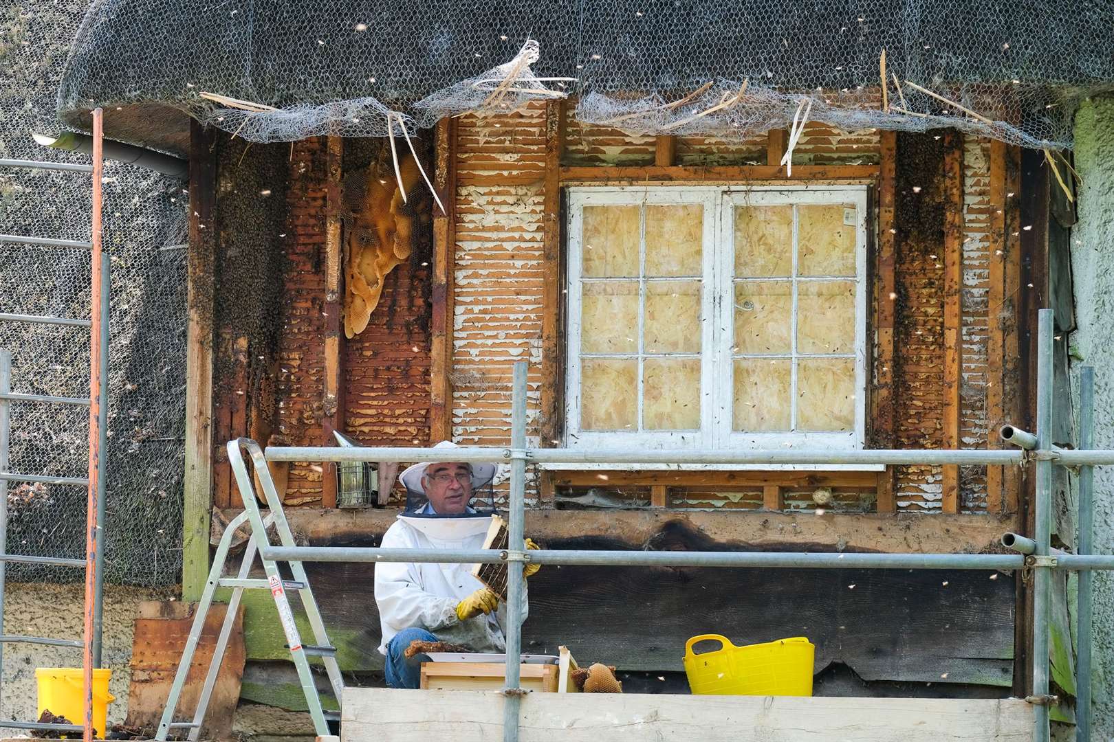 The bees will take three days to remove