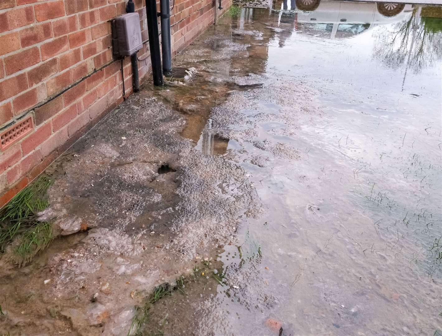 Raw sewage going into gardens in Newport Road