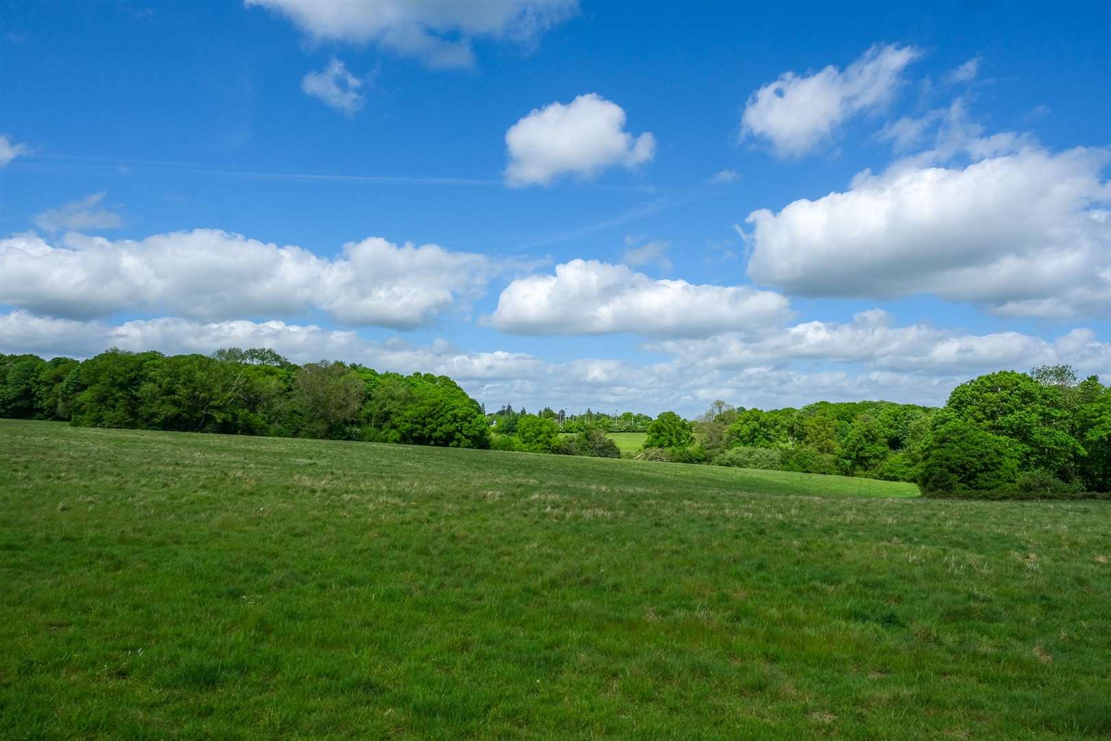 Sandleford Development .Looking towards Newbury Rugby Club. (56585849)