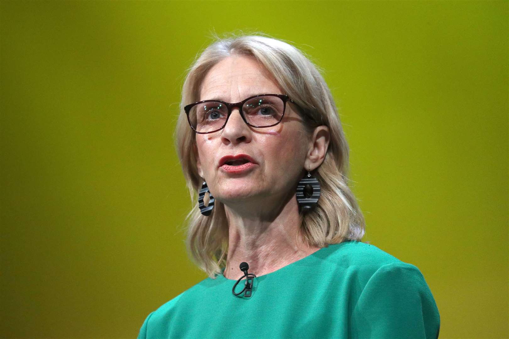 Wera Hobhouse was denied entry to Hong Kong when travelling to see her baby grandson and son (Jonathan Brady/PA)