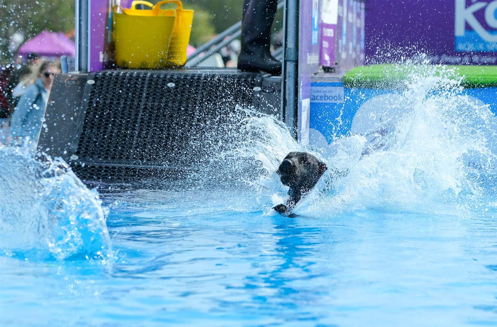 There were lots of splashes on the K9 Aqua Sport station
