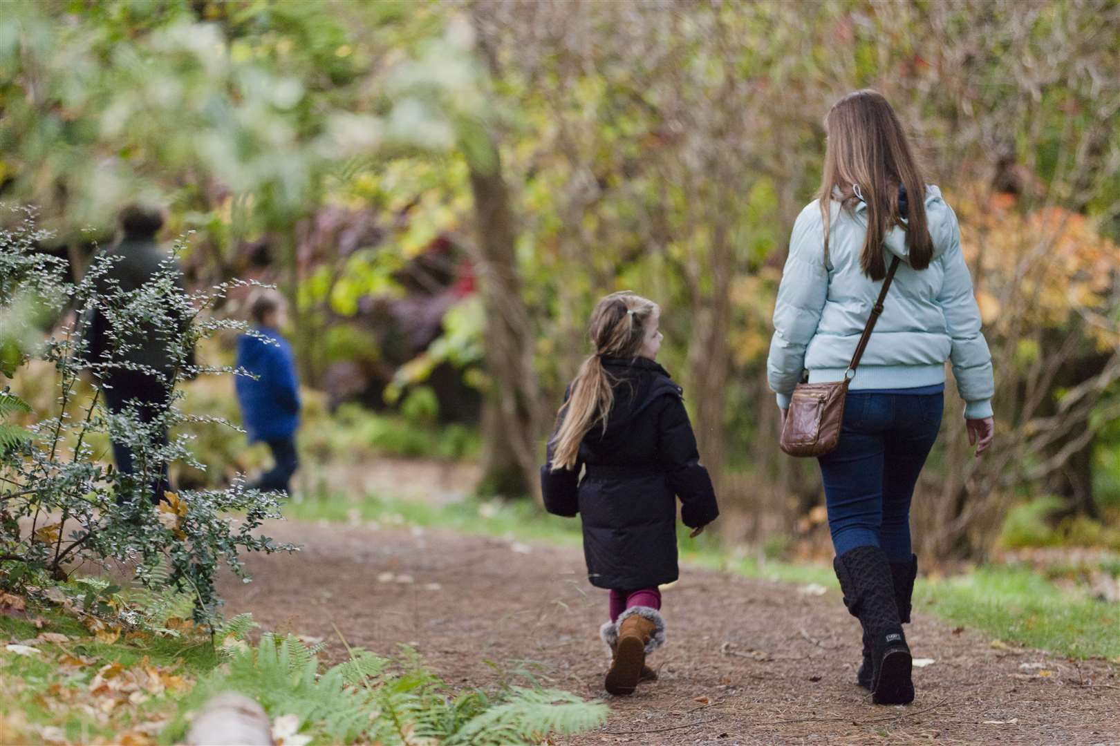 Visitors walking along a path Picture: NT Megan Taylor