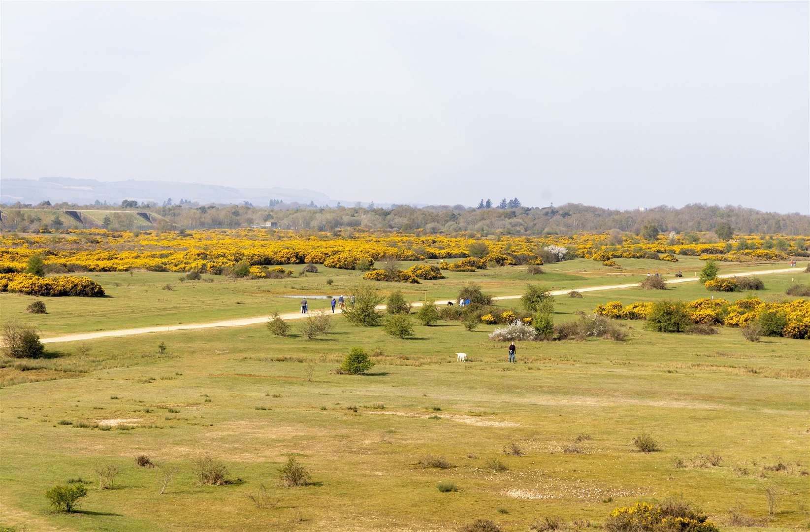 Greenham Common