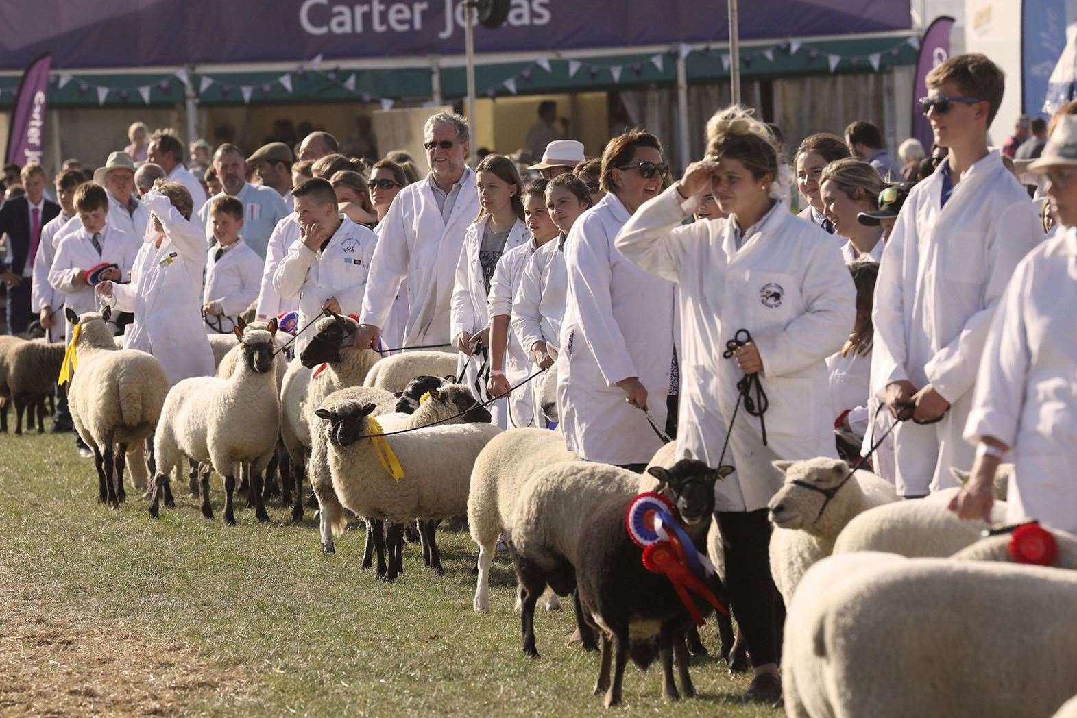 Nebwury Show, picture: Newbury & District Agricultural Society