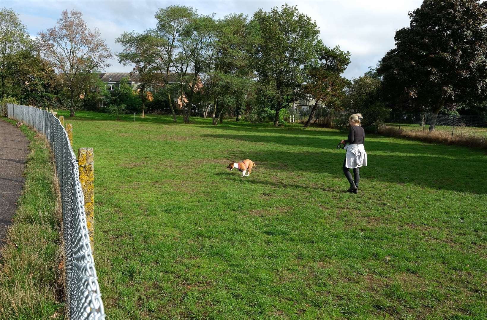 Dog play area in Thatcham Memorial Park