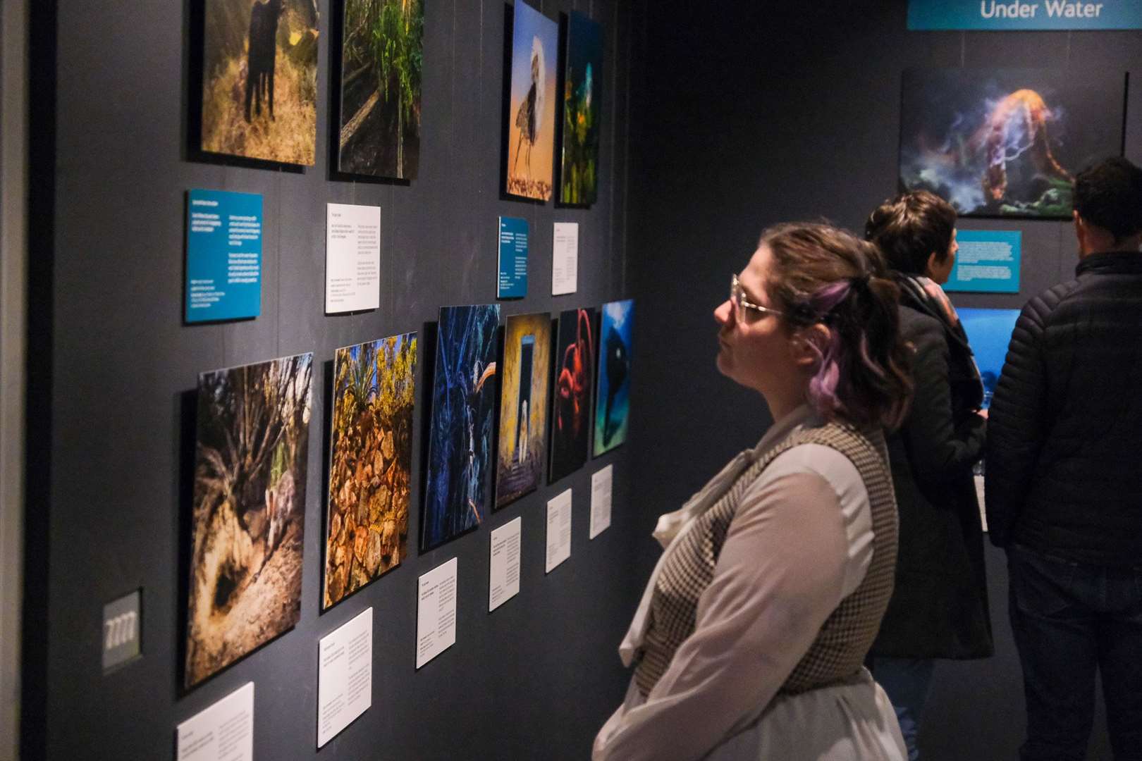 Wildlife Photographer of the Year exhibition at The Base